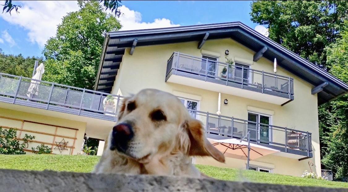 Schwalbennest Velden Lägenhet Velden am Wörthersee Exteriör bild